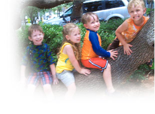 Kids sitting on a tree branch.